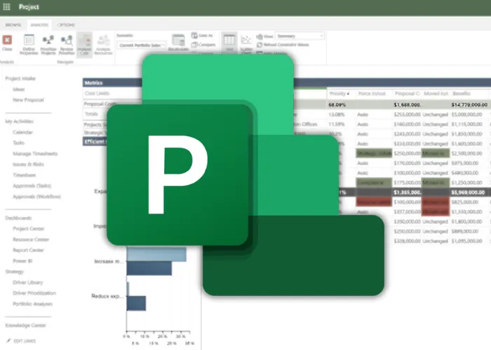 Microsoft Project 2010